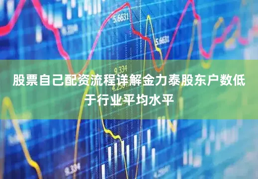 股票自己配资流程详解金力泰股东户数低于行业平均水平