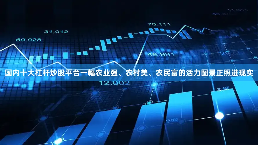 国内十大杠杆炒股平台一幅农业强、农村美、农民富的活力图景正照进现实