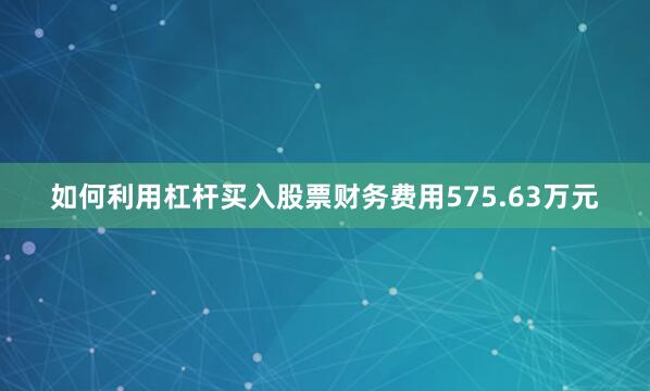 如何利用杠杆买入股票财务费用575.63万元