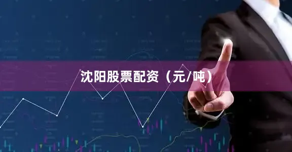 沈阳股票配资（元/吨）