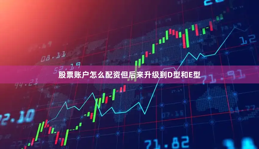 股票账户怎么配资但后来升级到D型和E型